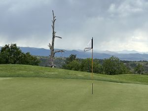 CC At Castle Pines 1st Logo Tree